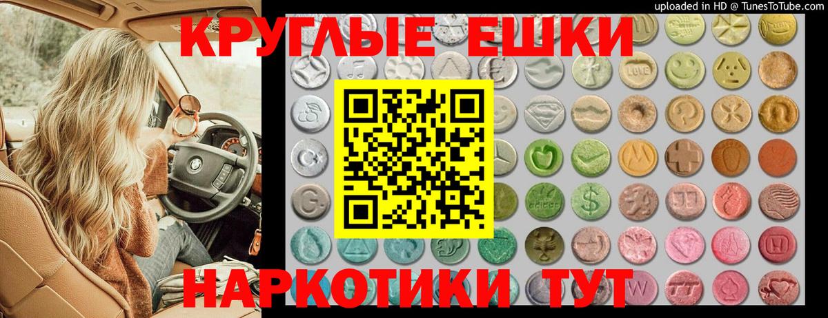 Энгельс  Ecstasy Philipp Plein  Вход с VPN  ЭКСТАЗИ  Экстази бентли 
