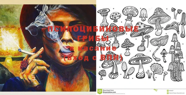 ПСИЛОЦИБИНОВЫЕ ГРИБЫ Абдулино