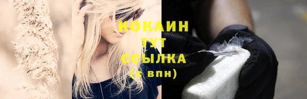 дживик Алзамай