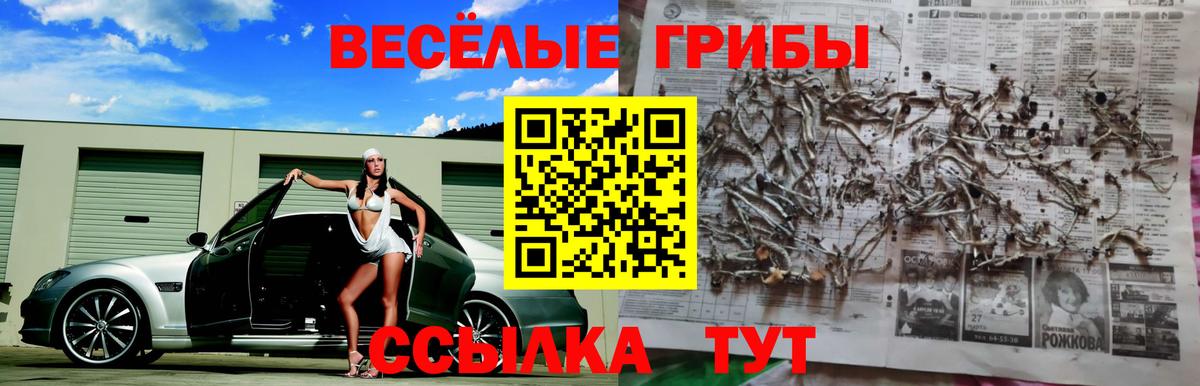 Галлюциногенные грибы Magic Shrooms  Псилоцибиновые грибы MAGIC MUSHROOMS  Вход с VPN  Энгельс 