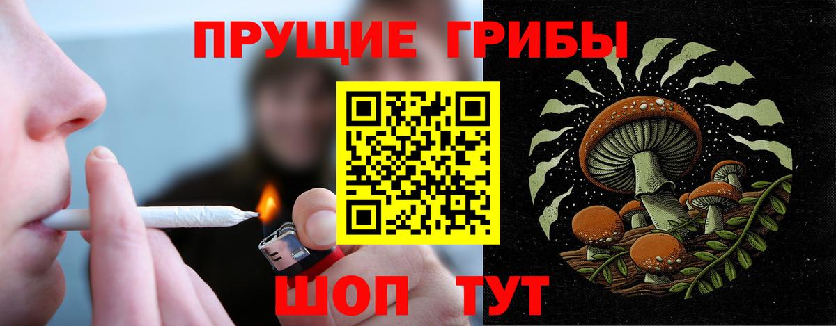 Псилоцибиновые грибы прущие грибы Энгельс